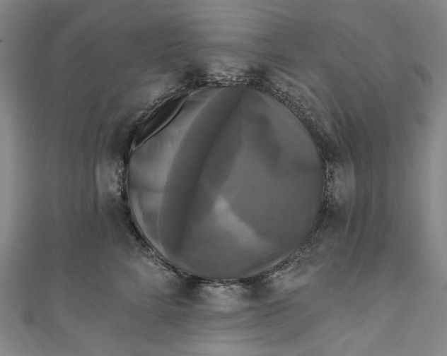 X0000111200712200907221130