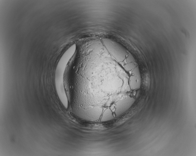 X0000111200715200907221130