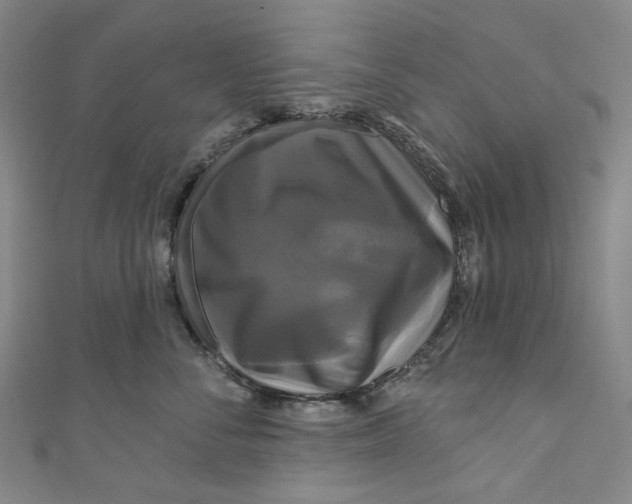 X0000111200716200907221130