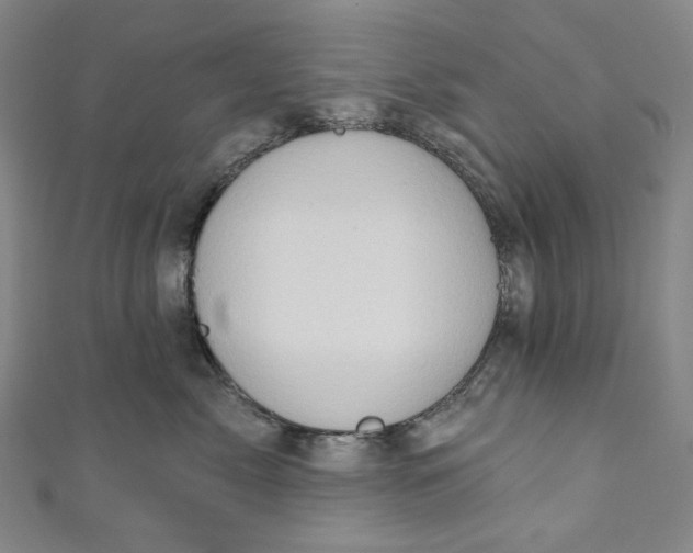 X0000111200717200907221130