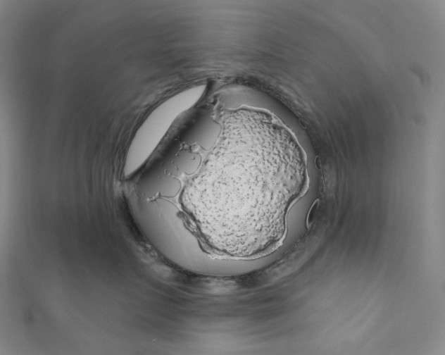 X0000111200719200907221130