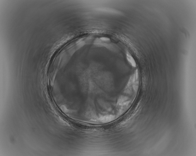 X0000111200721200907221129