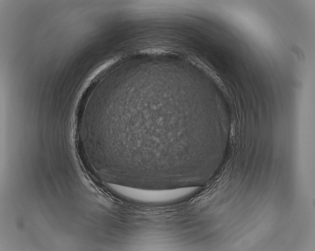 X0000111200724200907221129