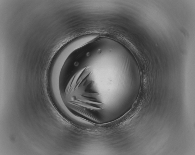 X0000111200725200907221129