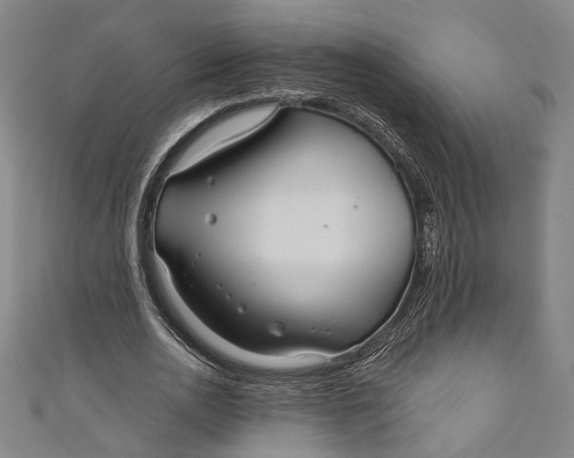 X0000111200726200907221129