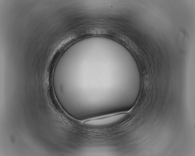 X0000111200727200907221129