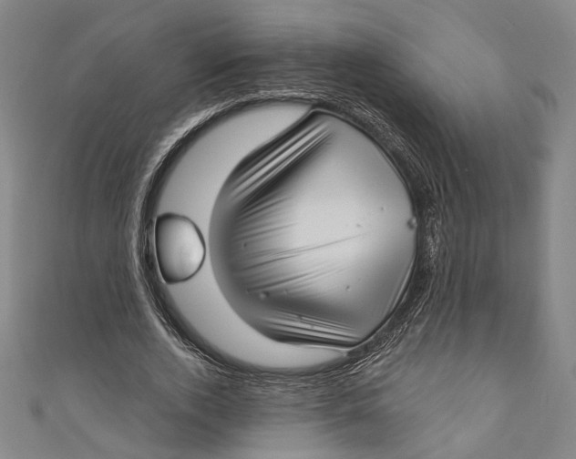 X0000111200728200907221129