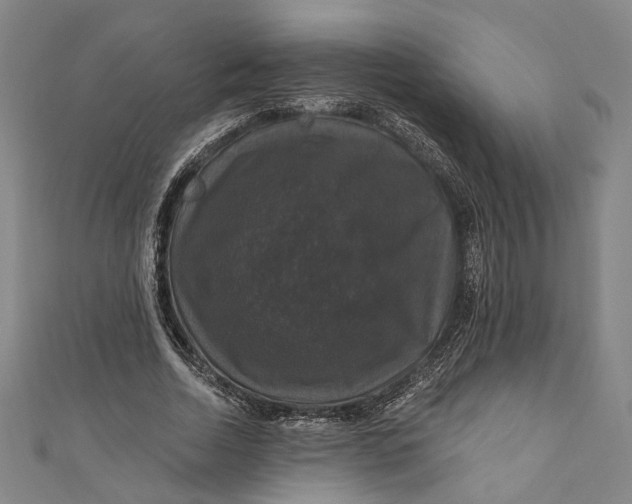 X0000111200730200907221129