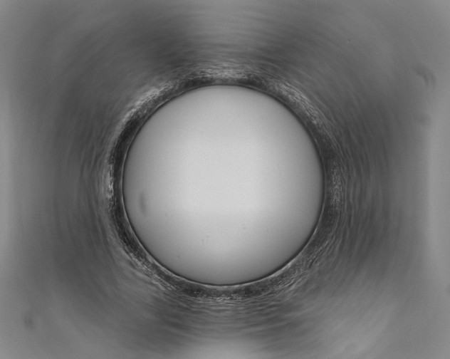 X0000111200731200907221129