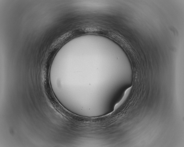 X0000111200732200907221129