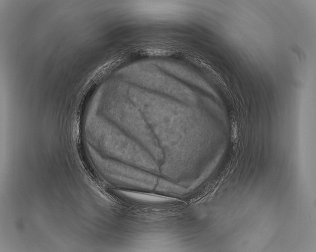 X0000111200733200907221129