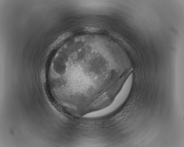 X0000111200734200907221129