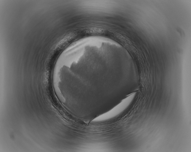 X0000111200735200907221129