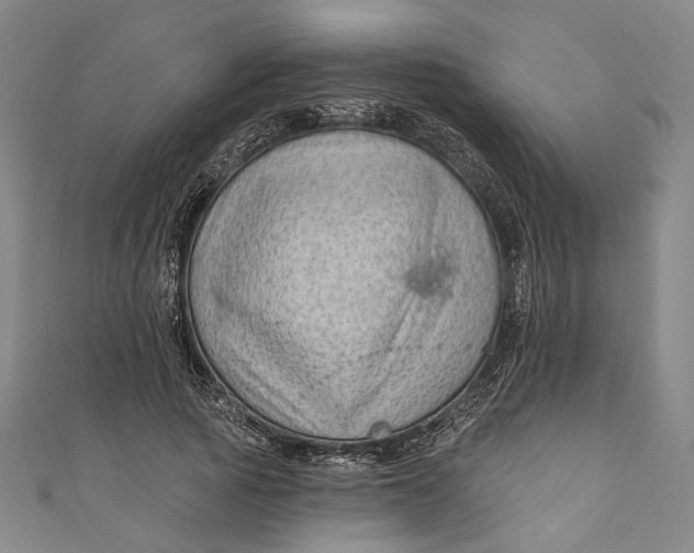 X0000111200737200907221129