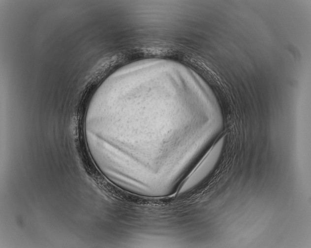 X0000111200738200907221129