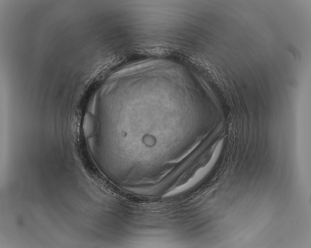 X0000111200739200907221129