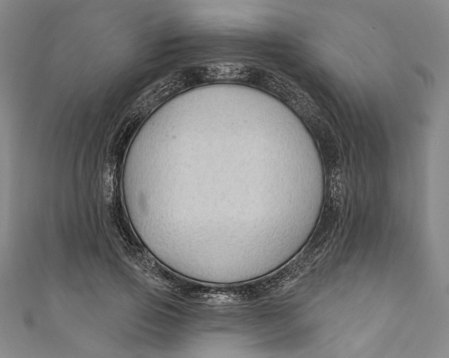 X0000111200741200907221129