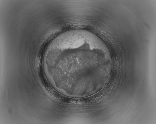 X0000111200742200907221129