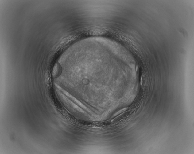 X0000111200743200907221129