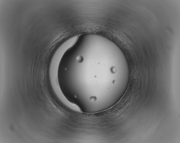 X0000111200744200907221129