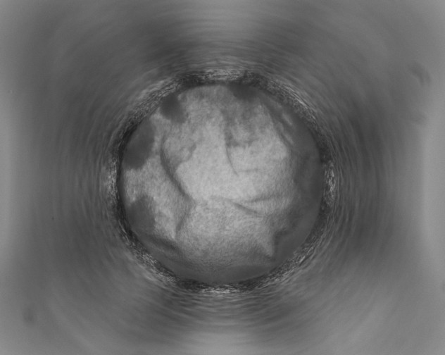 X0000111200745200907221129