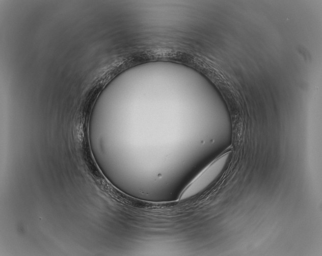 X0000111200746200907221129