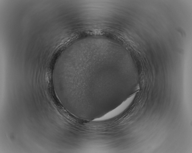 X0000111200747200907221129