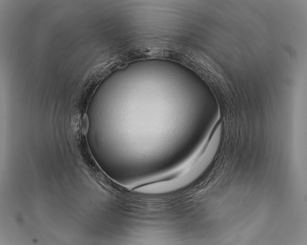 X0000111200748200907221129