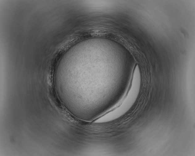 X0000111200755200907221129