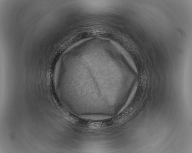 X0000111200757200907221129