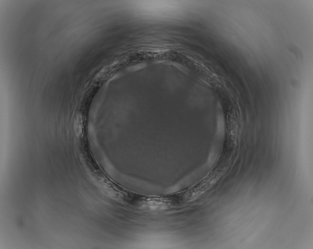 X0000111200758200907221130