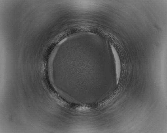 X0000111200759200907221130