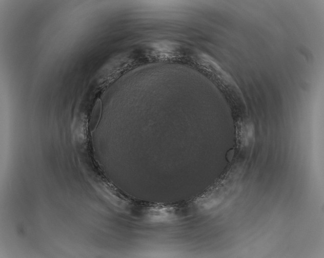 X0000111200760200907221130