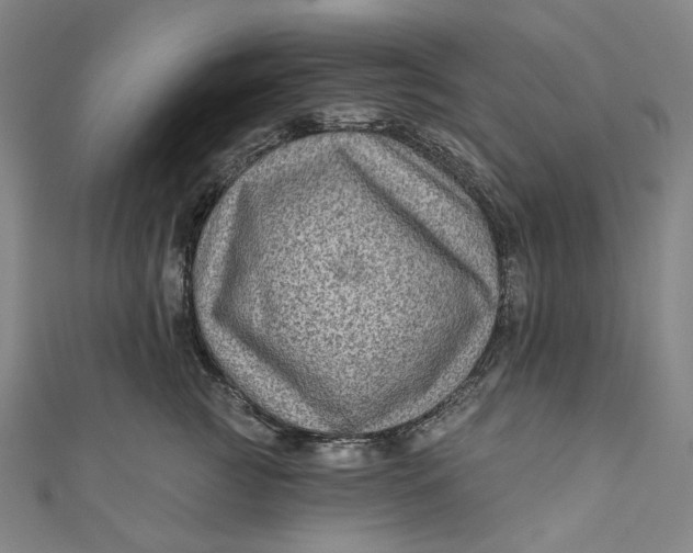 X0000111200761200907221130