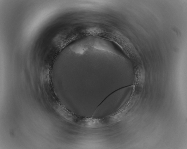 X0000111200762200907221130