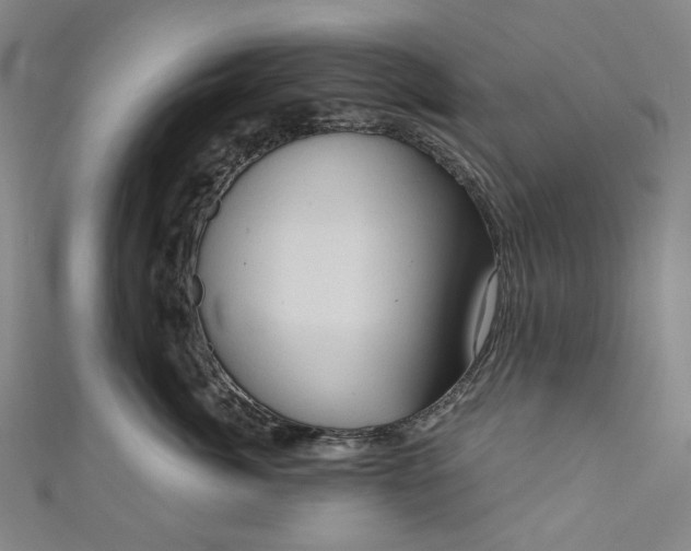 X0000111200764200907221130