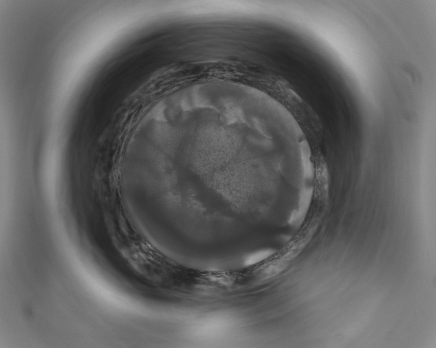 X0000111200765200907221130