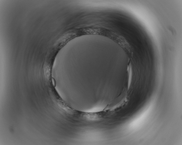 X0000111200767200907221130