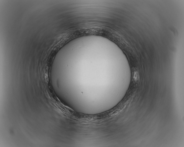 X0000111200771200907221129