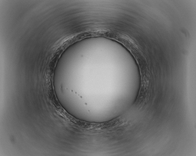 X0000111200773200907221129