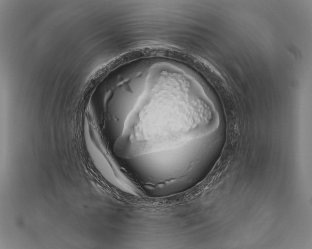 X0000111200775200907221129