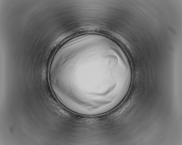 X0000111200778200907221129