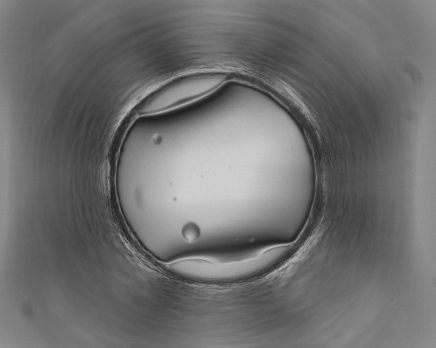 X0000111200781200907221129