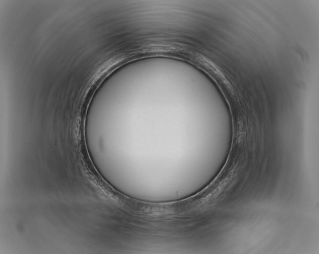 X0000111200786200907221129