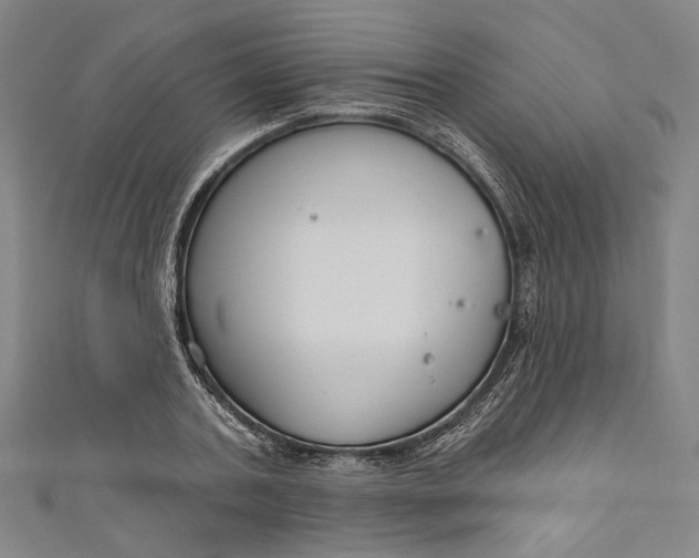 X0000111200787200907221129