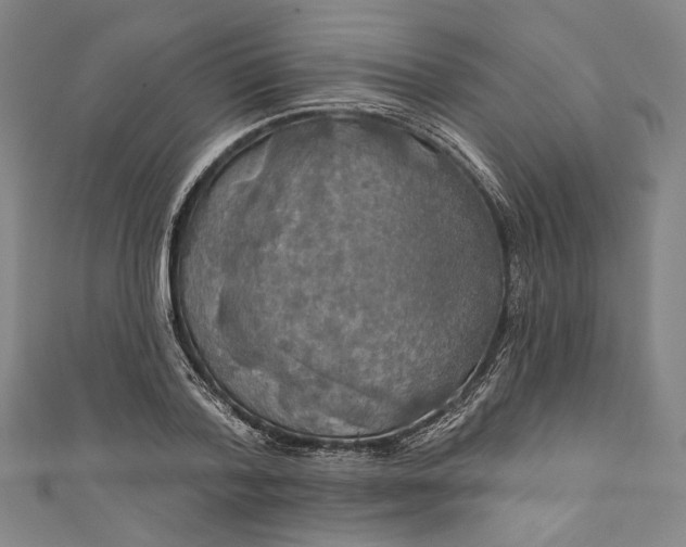 X0000111200788200907221129