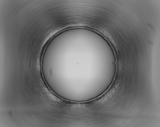 X0000111200789200907221129