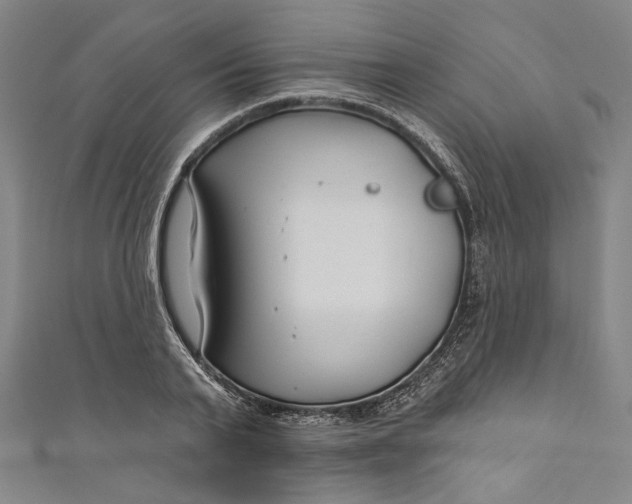 X0000111200791200907221129