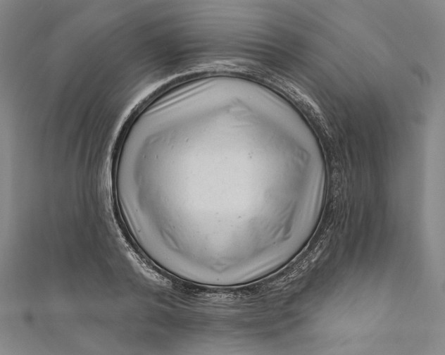 X0000111200792200907221129