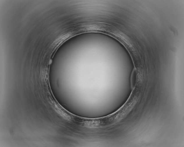 X0000111200793200907221129